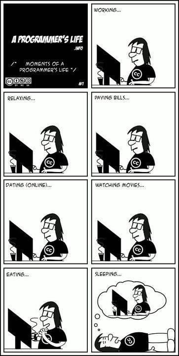 A Programmers Life – El Lupanar de Dieguito